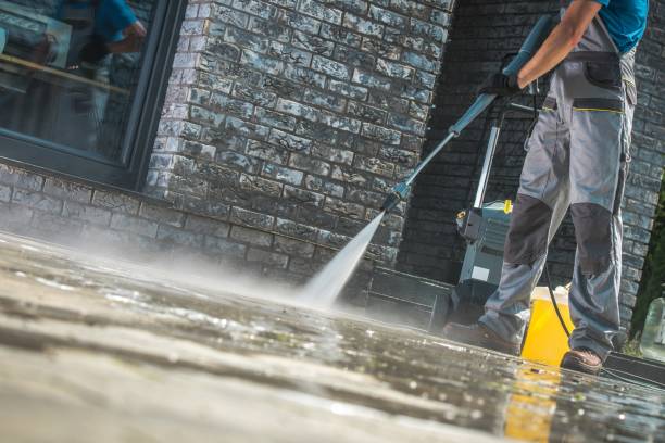Best Animal Enclosure Cleaning  in Miamisburg, OH